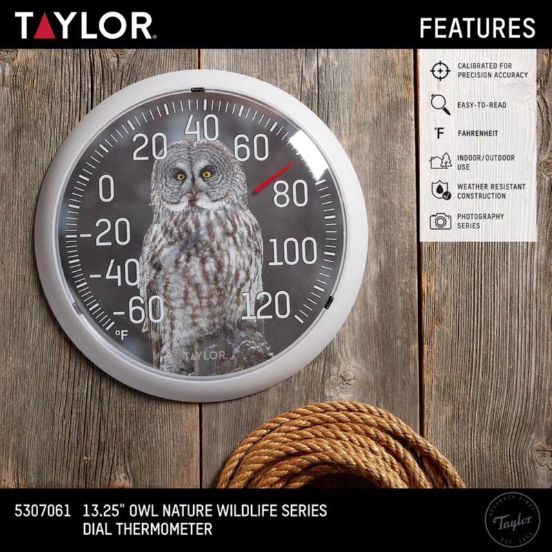 Taylor Owl Dial Thermometer Plastic Multicolored 13.25 in.