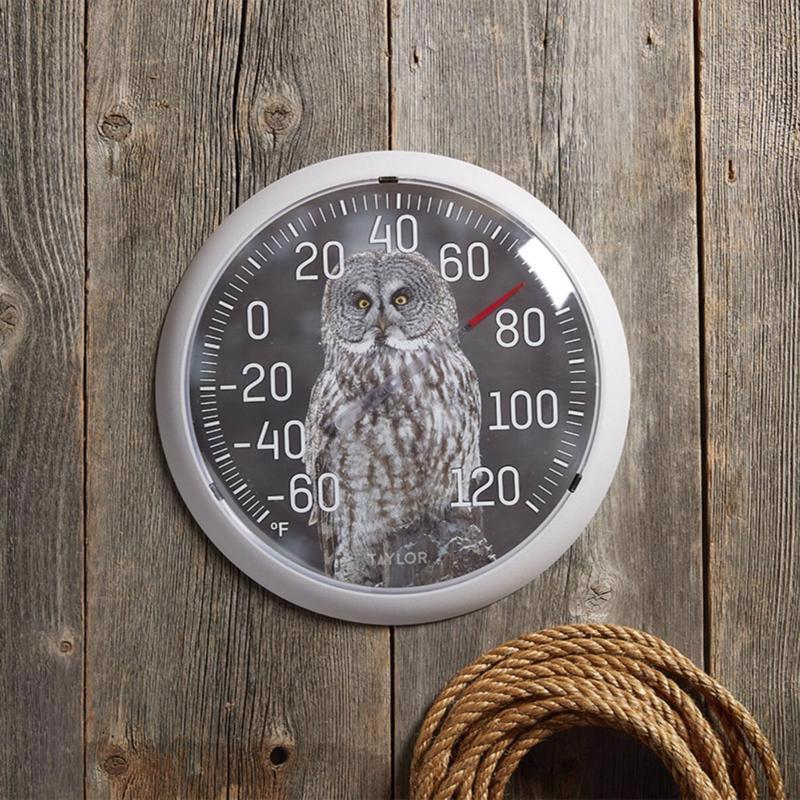 Taylor Owl Dial Thermometer Plastic Multicolored 13.25 in.