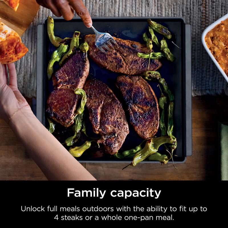 Ninja Woodfire Cast Iron Baking Pan 13.28 in. L X 12.38 in. W