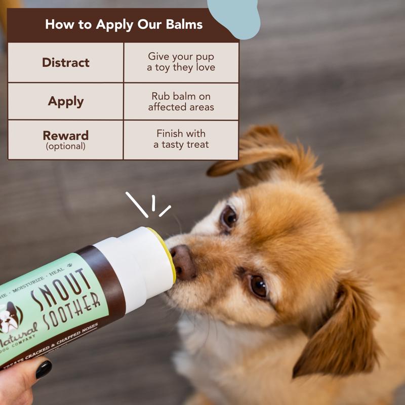 Natural Dog Company Dog Skin/Coat Grooming Solution 2 oz