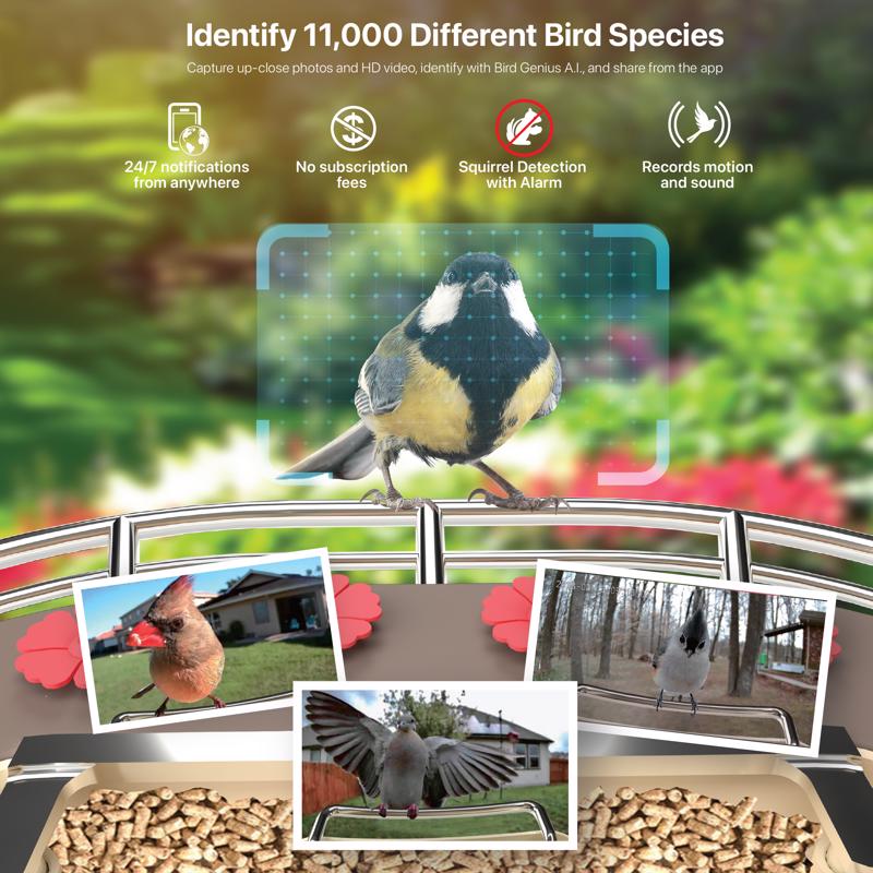 Feit Bird Genius A.I. Wild Bird 2.5 L Plastic Solar Camera Smart-Enabled Bird Feeder 1 ports
