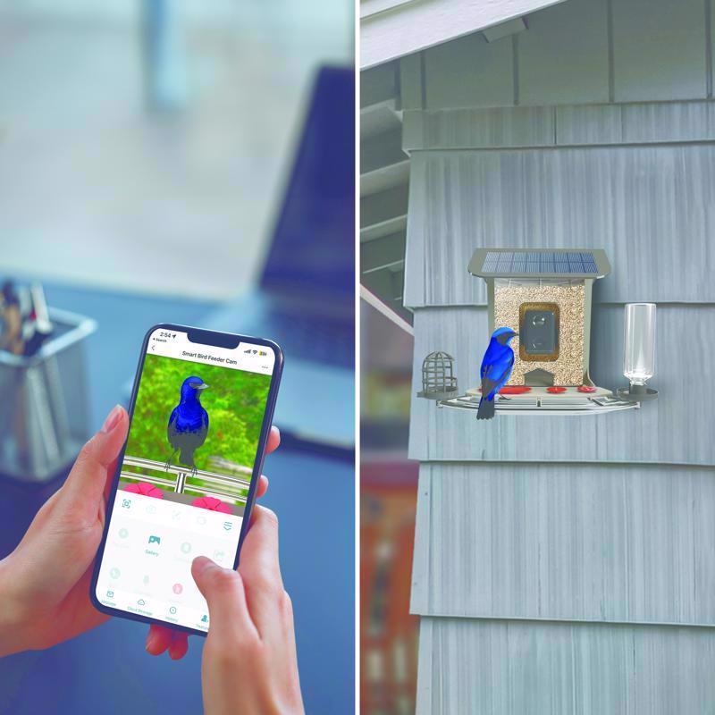 Feit Bird Genius A.I. Wild Bird 2.5 L Plastic Solar Camera Smart-Enabled Bird Feeder 1 ports