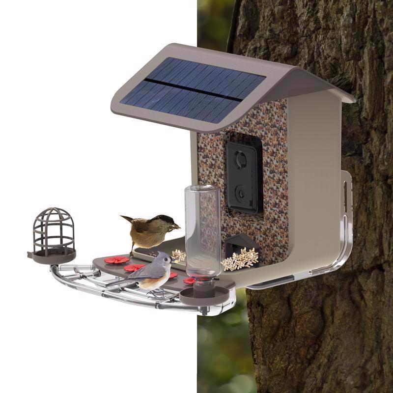 Feit Bird Genius A.I. Wild Bird 2.5 L Plastic Solar Camera Smart-Enabled Bird Feeder 1 ports