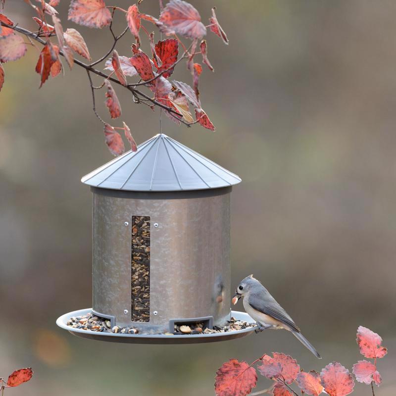More Birds 7 lb. capacity Plastic/Steel Silo Hopper Bird Feeder