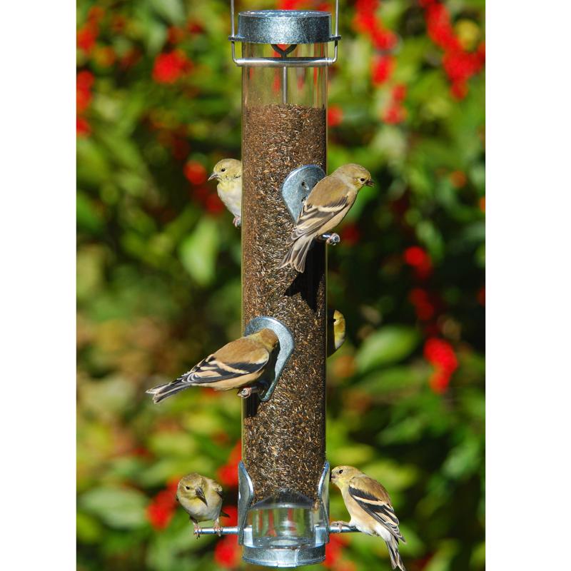 Droll Finch 1 lb Polycarbonate Tube Bird Feeder 6 ports