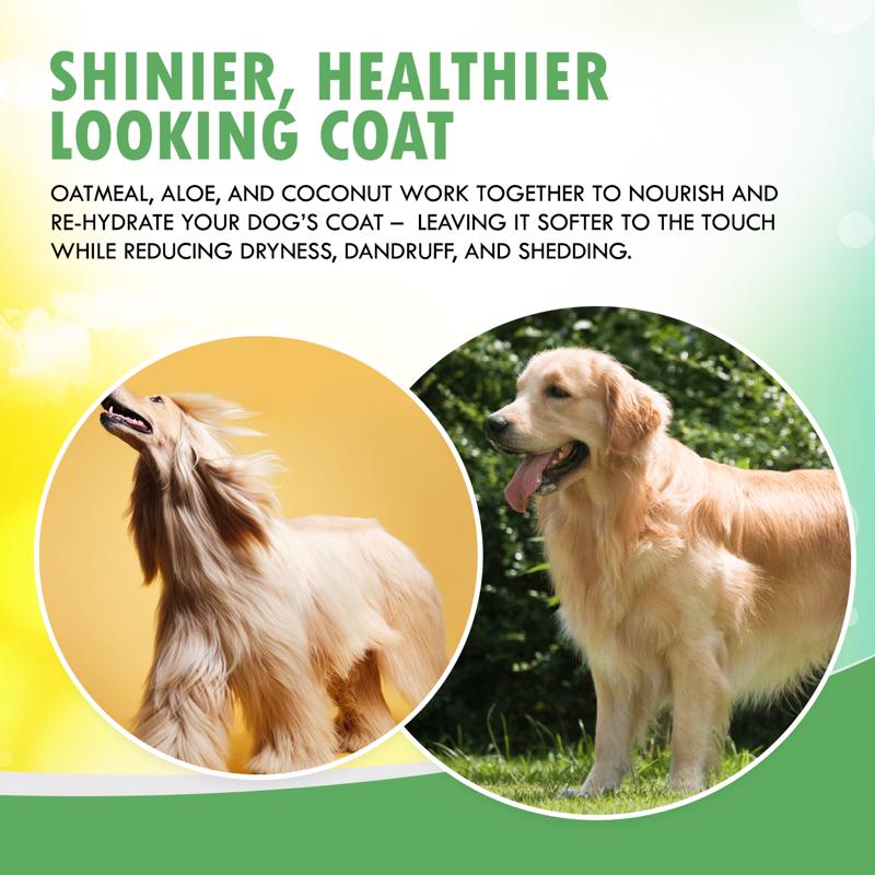 Wondurdog Fur Foam Oatmeal, Coconut, Aloe & Cucumber Dog Shampoo 2 oz