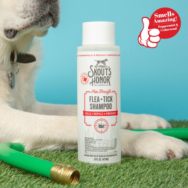 Skout's Honor White Cedarwood/Peppermint Dog Flea and Tick Shampoo 16 oz