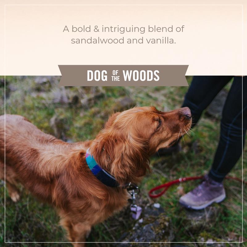 Skout's Honor Sandalwood Vanilla Cat/Dog Shampoo and Conditioner 16 oz