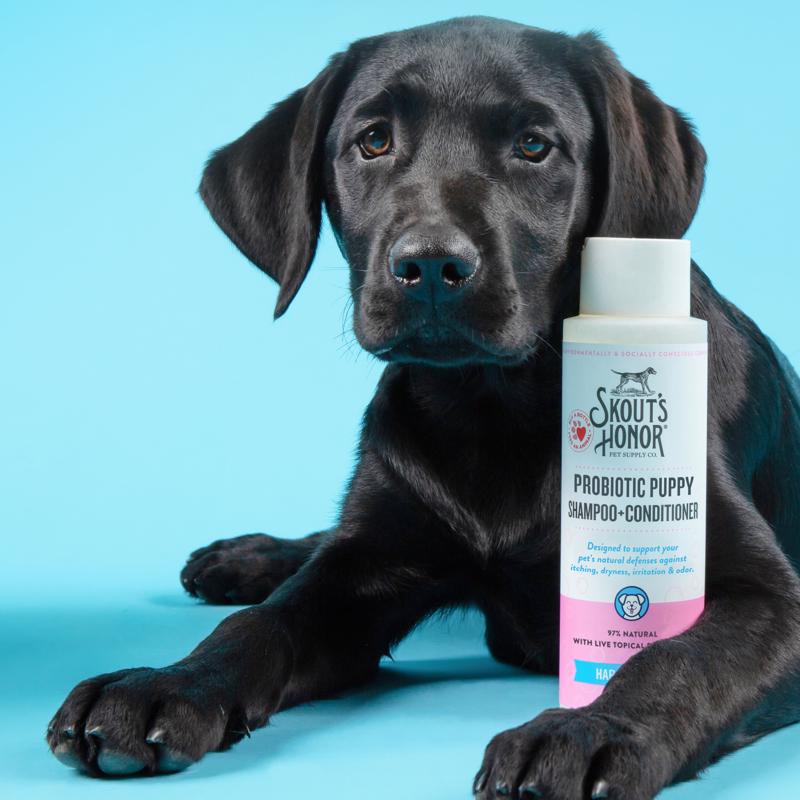 Skout's Honor Lilac and Linen Cat/Dog Shampoo and Conditioner 16 oz