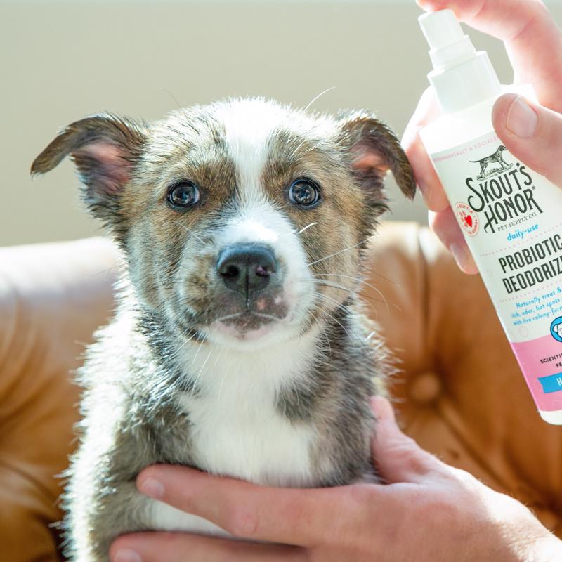 Skout's Honor Lilac and Linen Cat/Dog Deodorizing Spray 8 oz
