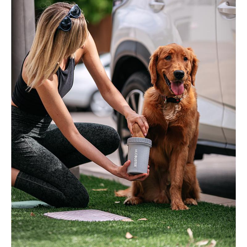 Dexas MudBuster Gray Dog Paw Cleaner