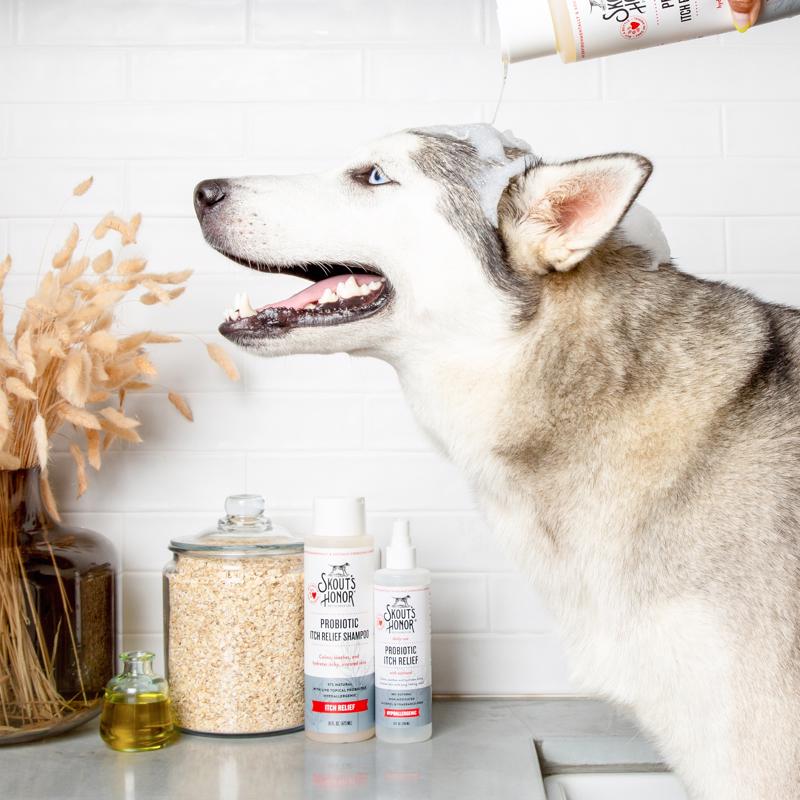 Skout's Honor Dog Soothing Itch Shampoo 16 oz
