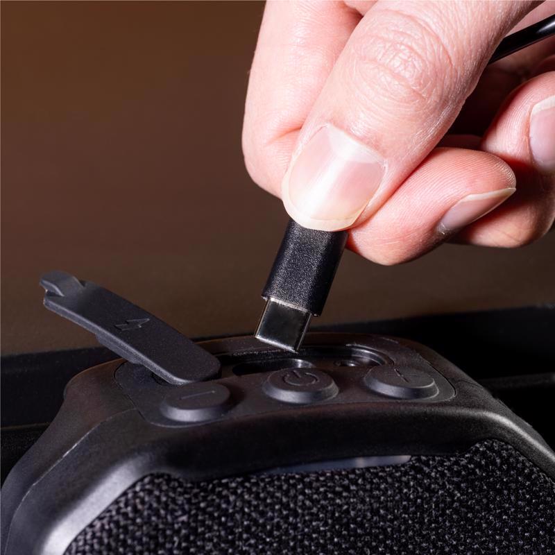 Blackstone Wireless Portable Speaker
