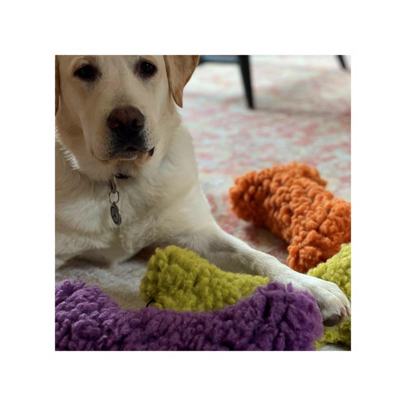 Allure Products Hugglehounds For Dog Assorted Plush Fleece Bone Dog Toy 12