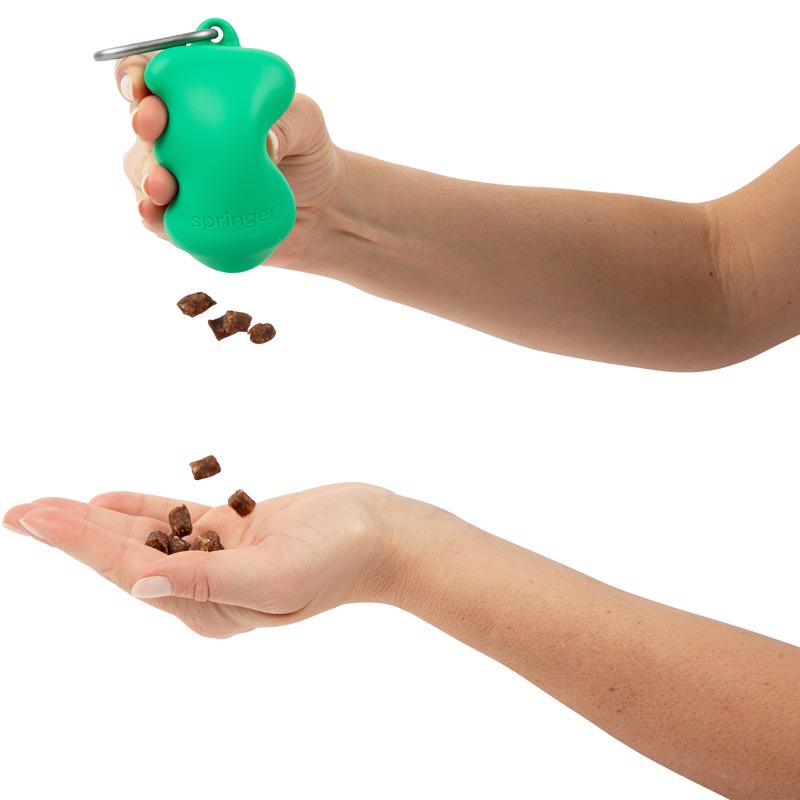 Springer Green Rubber Treat Pouch