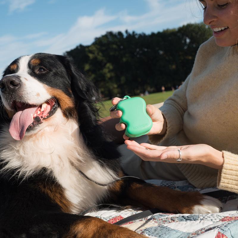Springer Green Rubber Treat Pouch