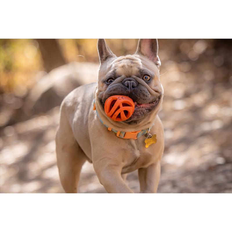 Chuckit! Breathe Right Orange Ball Dog Toy