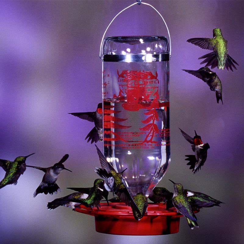 Birds Choice Nectar 24 oz