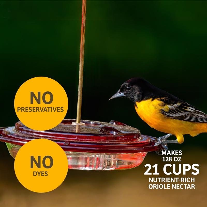 Birds Choice Nectar 24 oz