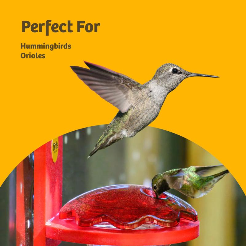 Birds Choice Nectar 24 oz