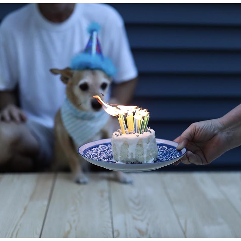 Cuppy Cake Birthday Cake with Pupfetti Sprinkles Treats For Dogs 4 oz