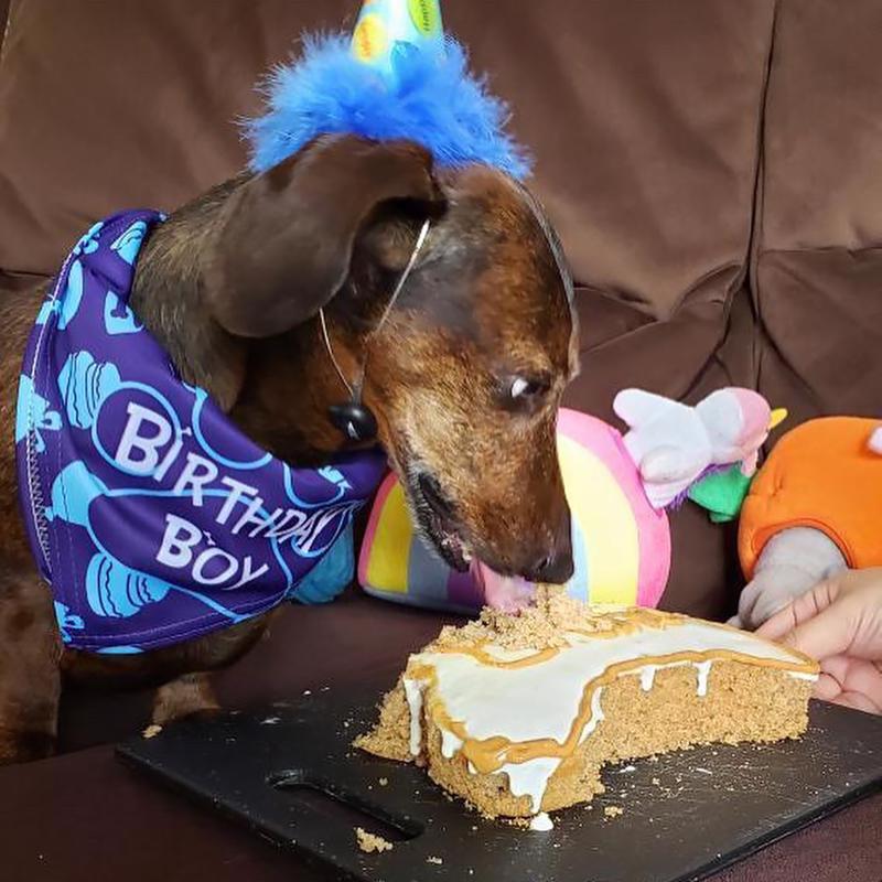 Puppy Cake Peanut Butter Treats For Dogs 9 oz
