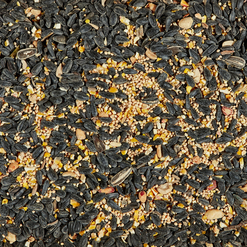 Kaytee Songbird Blend Wild Bird Food 7 lb