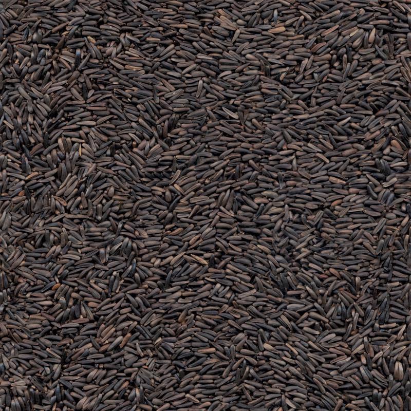Kaytee Nyjer Wild Bird Food 3 lb
