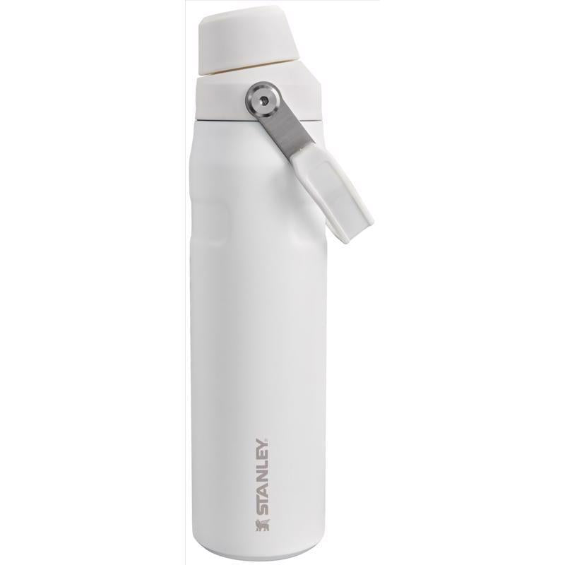Stanley IceFlow Fast Flow 36 oz Frost BPA Free Bottle with Straw Cap