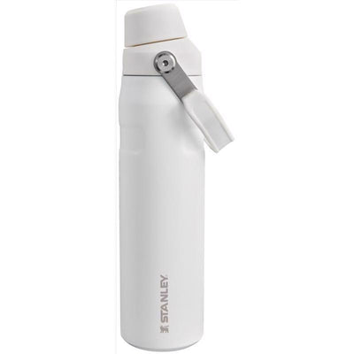 Stanley IceFlow Fast Flow 36 oz Frost BPA Free Bottle with Straw Cap