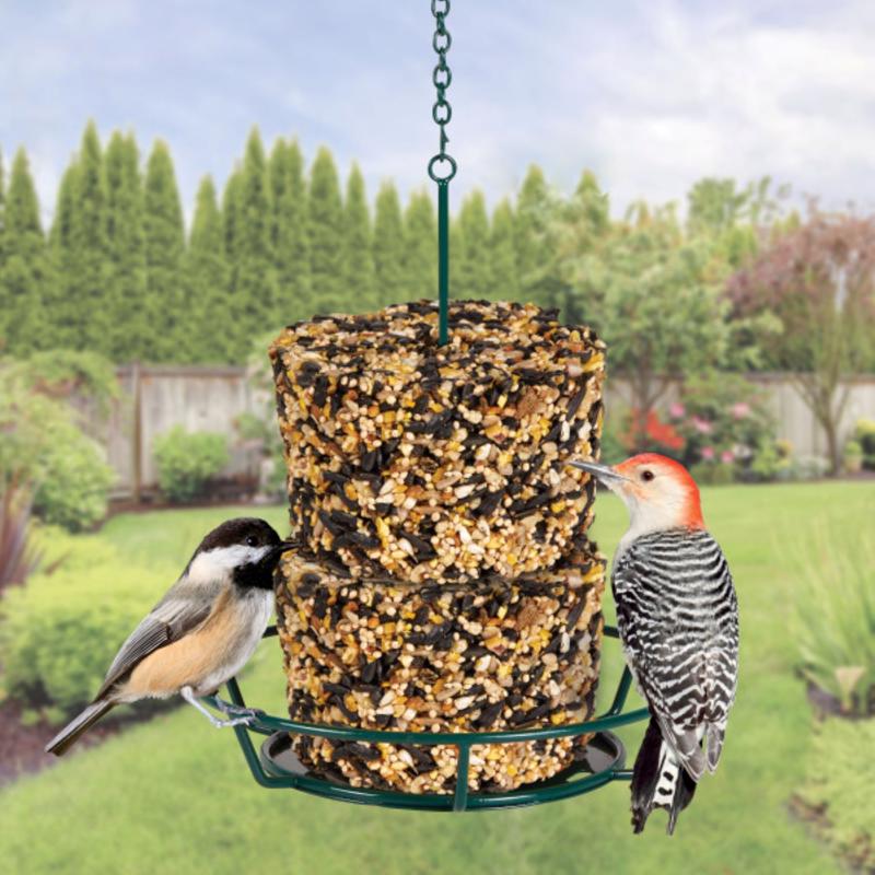 Kaytee Wild Bird Seed 7.4 oz