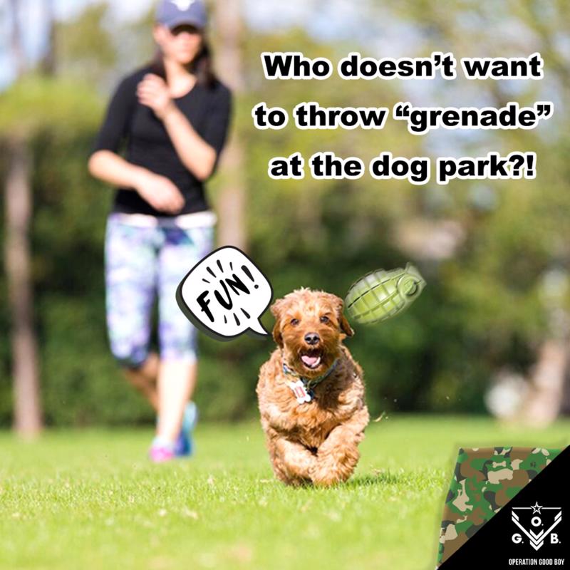 Operation Good Boy Grenade Toy Green Rubber Dog Treat Toy/Dispenser