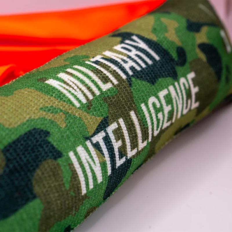 Operation Good Boy Multicolored Nylon Fire Hose Military Intelligence Dog Tug Toy