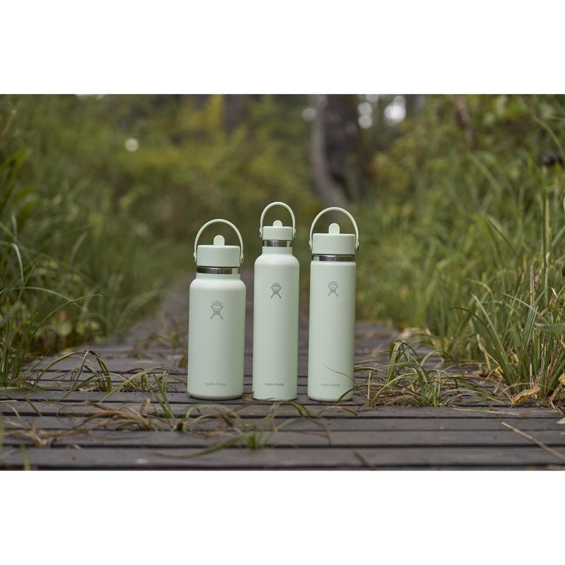 Hydroflask 24 fl. oz. Aloe BPA Free Insulated Bottle