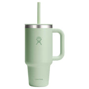 Hydroflask All Around 20 fl. oz. Aloe BPA Free Tumbler with Straw Lid