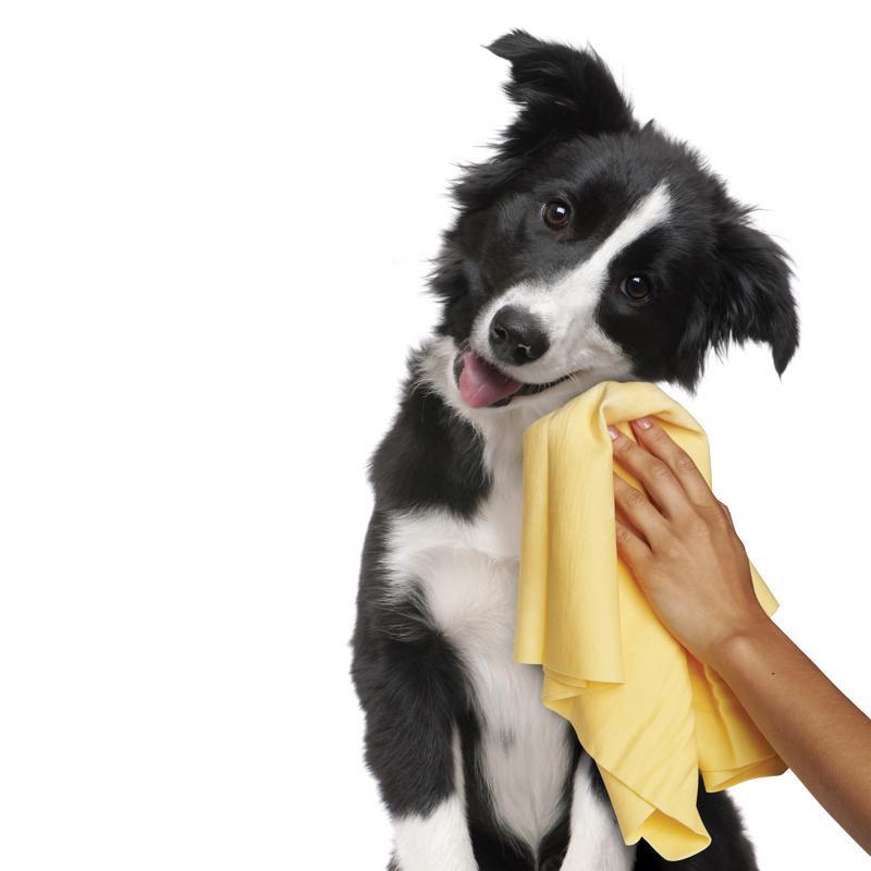 The Absorber Dog Lover's Towel Blue Dog Absorbent Towel