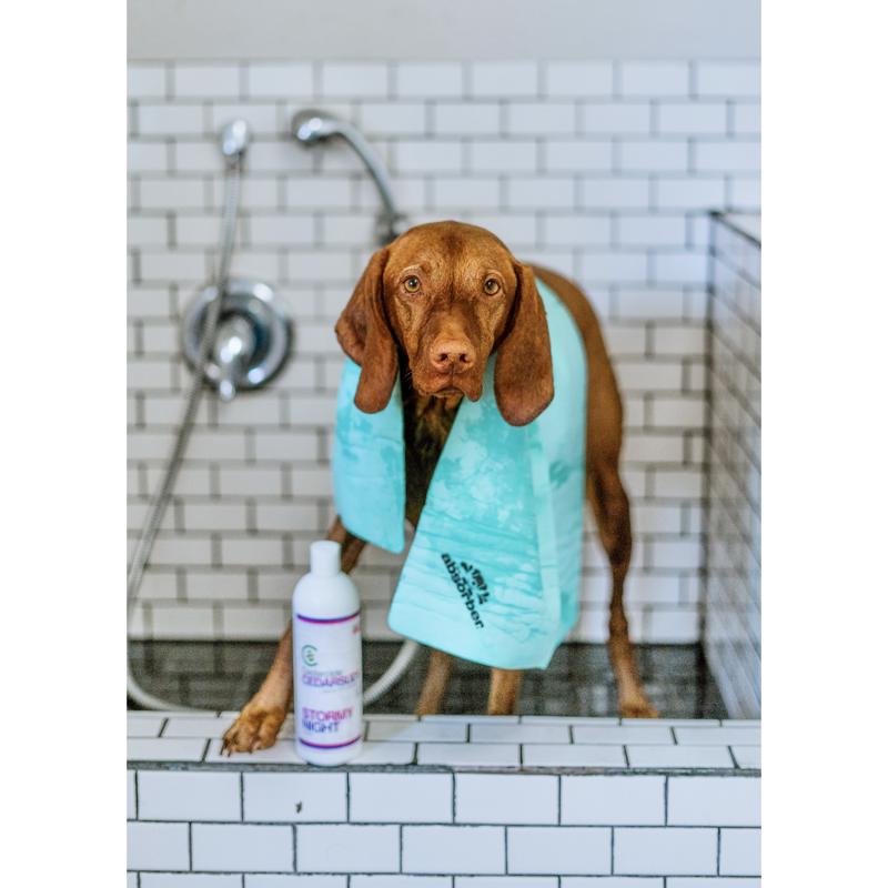 The Absorber Dog Lover's Towel Blue Dog Absorbent Towel