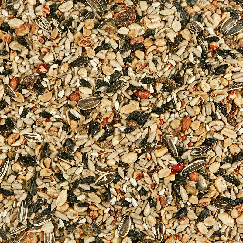 Kaytee Nut & Fruit Blend Wild Bird Food 5 lb