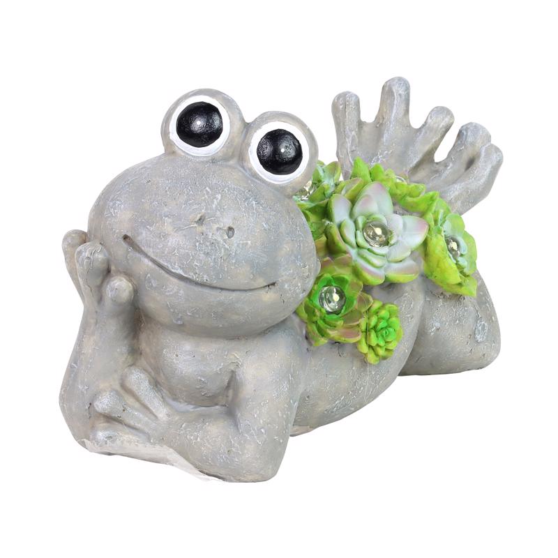 Exhart Assorted Resin 7.5 in. H Frog w/Succulents Statue