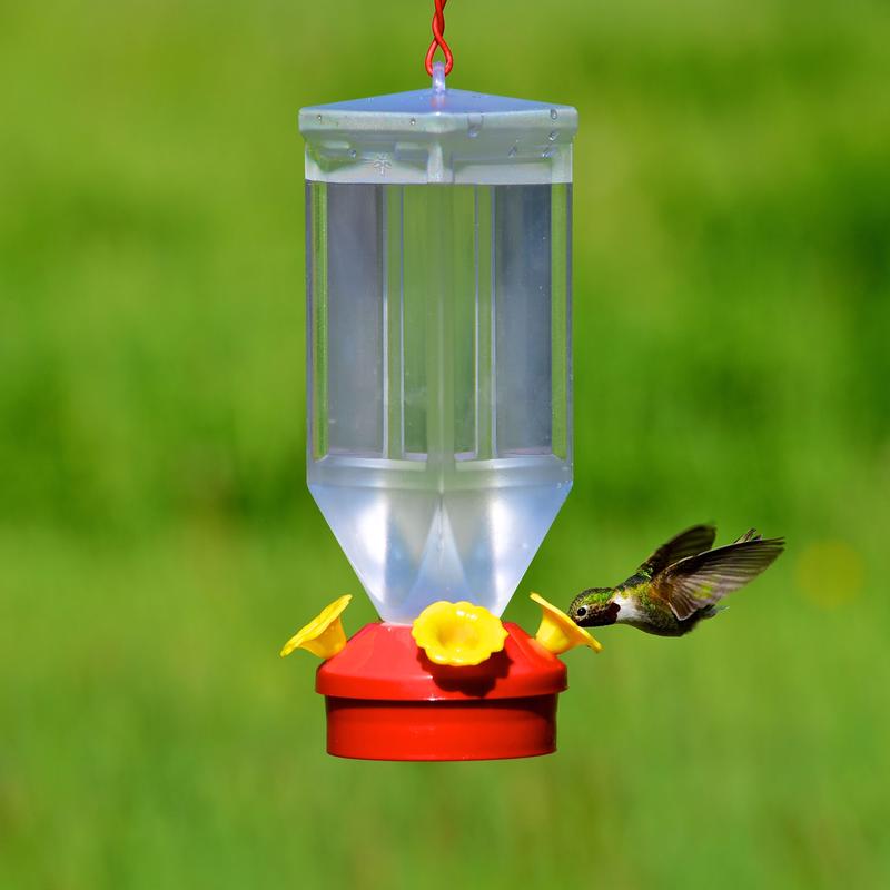 Perky-Pet Hummingbird 18 oz Plastic Lantern Nectar Bird Feeder 4 ports