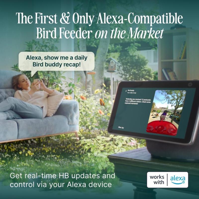 Bird Buddy Hummingbird 1.75 cups Plastic Smart-Enabled Smart Solar Camera Bird Feeder 3 ports
