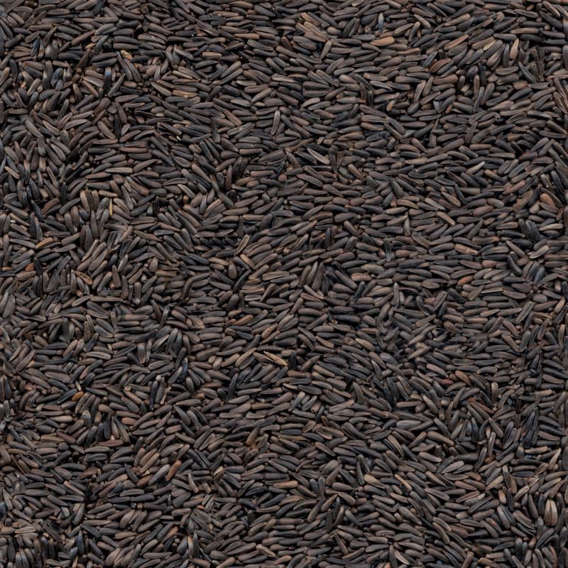 Kaytee Nyjer Wild Bird Food 20 lb