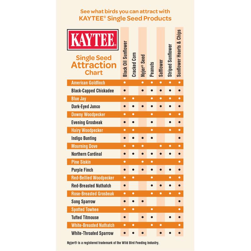 Kaytee Nyjer Wild Bird Food 20 lb