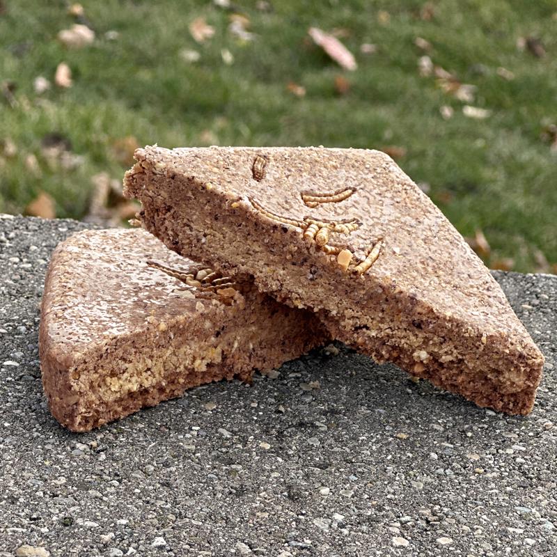 Hungrybird Suet 12 oz