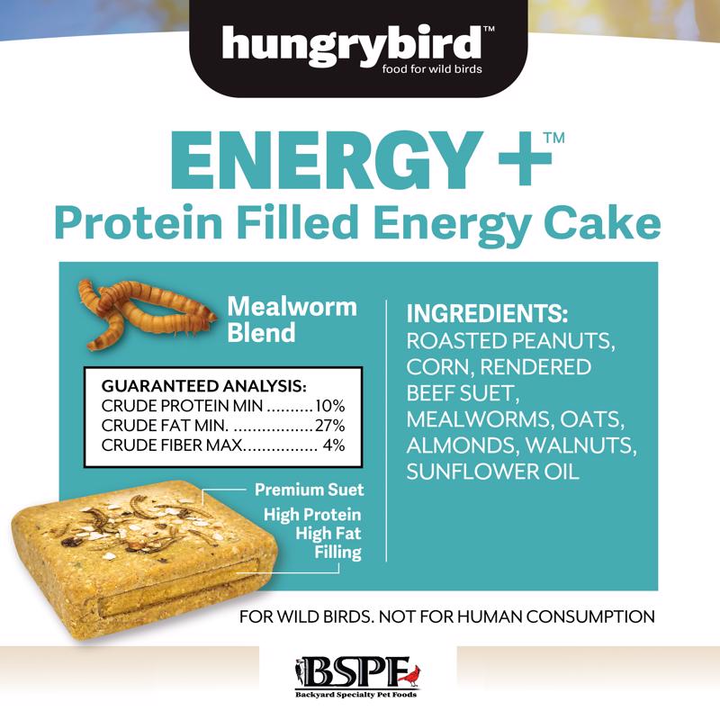 Hungrybird Suet 12 oz