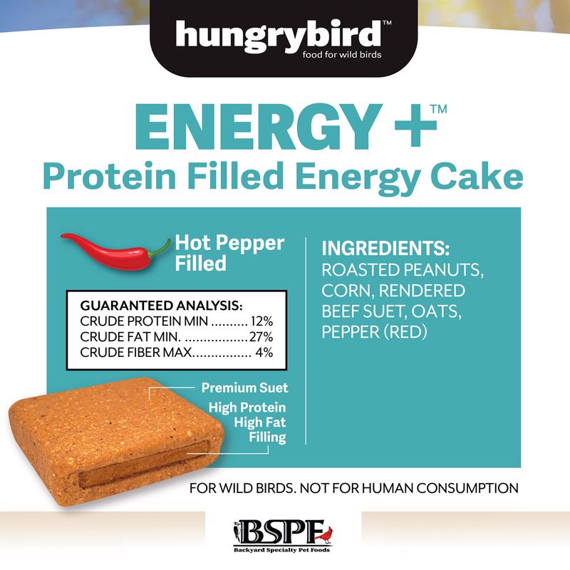 Hungrybird Suet 12 oz