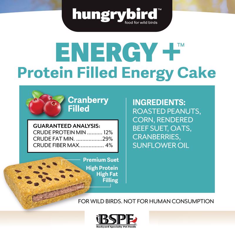 Hungrybird Suet 12 oz