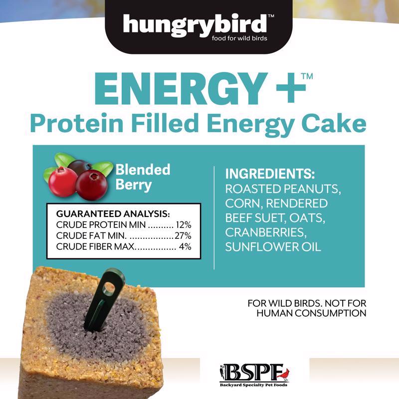 Hungrybird Wild Bird Treat Bar 17 oz