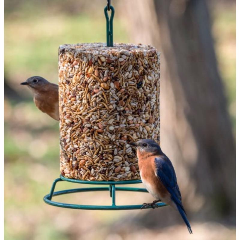 Birds Choice Bugs N Nuts Bird Seed 5.5 lb