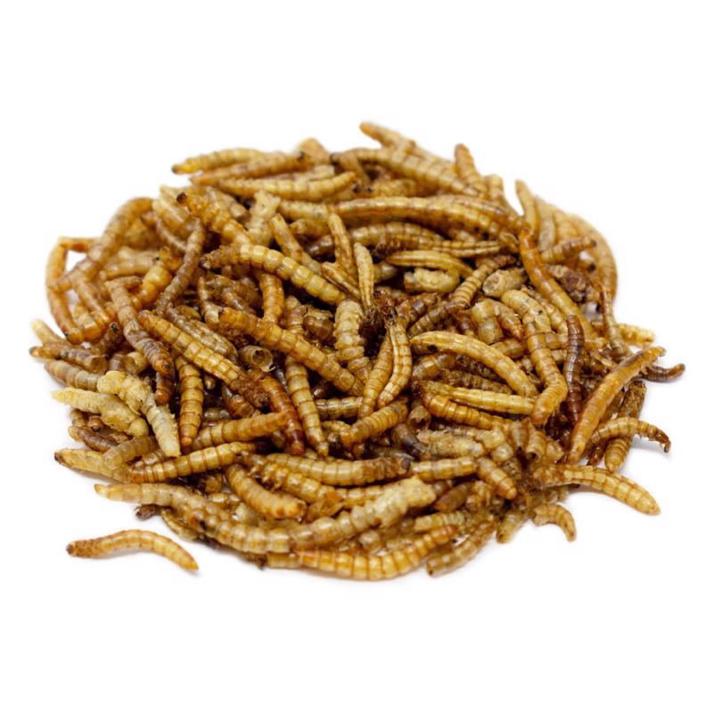 Chirp Mealworms Wild Bird Food 32 oz